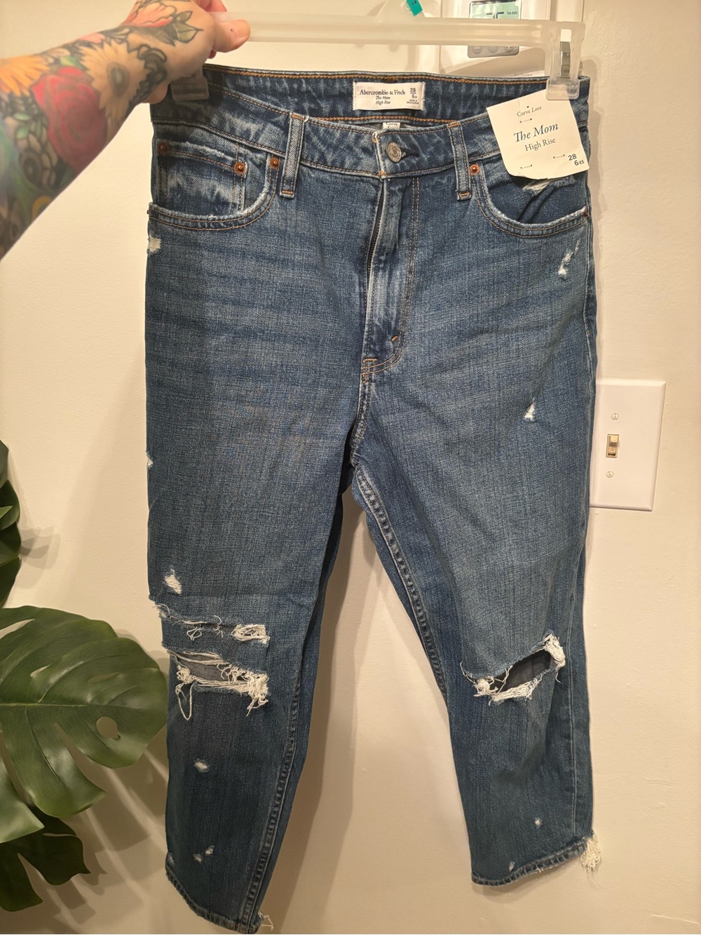 Abercrombie & Fitch curve love Jeans